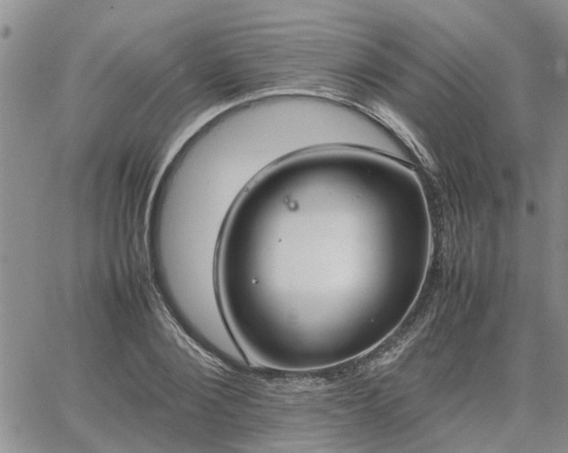 X0000064730884200602171639