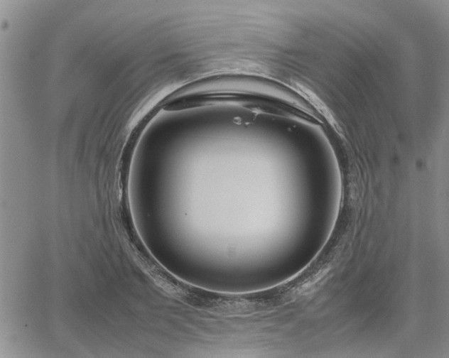 X0000064730885200602171639