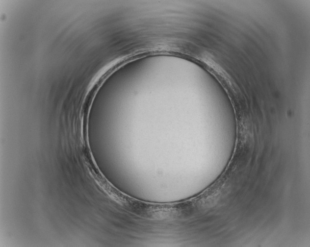 X0000064730886200602171639