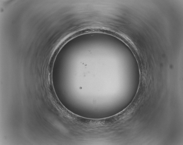 X0000064730887200602171639