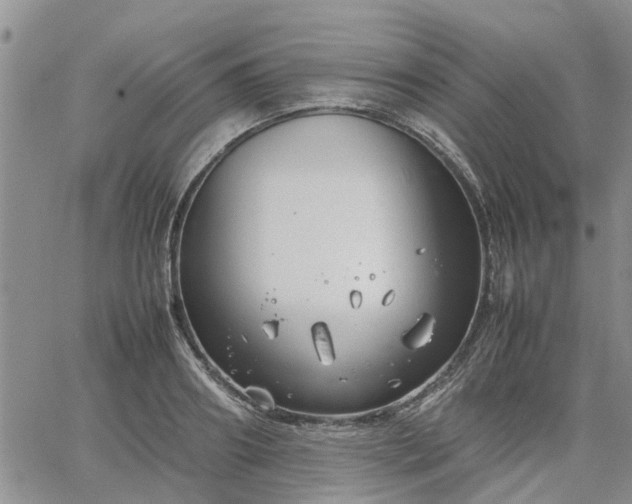 X0000064730890200602171639