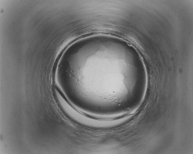 X0000064730891200602171639