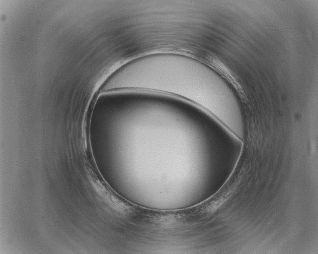 X0000064730892200602171639