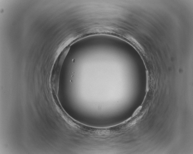 X0000064730893200602171639