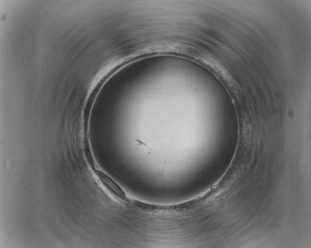 X0000064730894200602171639