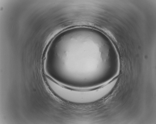 X0000064730895200602171639