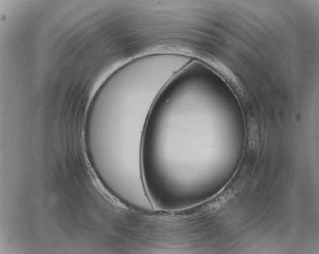 X0000064730896200602171639