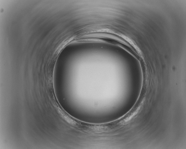 X0000064730897200602171639