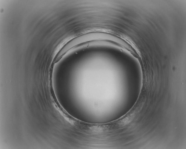 X0000064730898200602171639