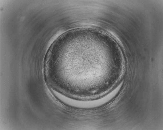 X0000064730899200602171639