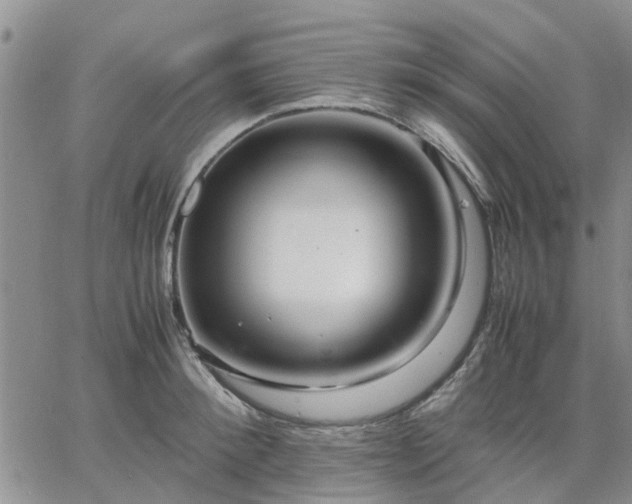 X0000064730900200602171639