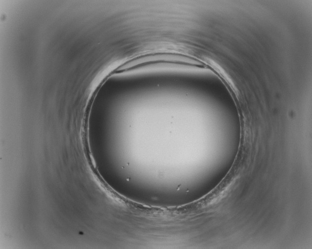 X0000064730901200602171638