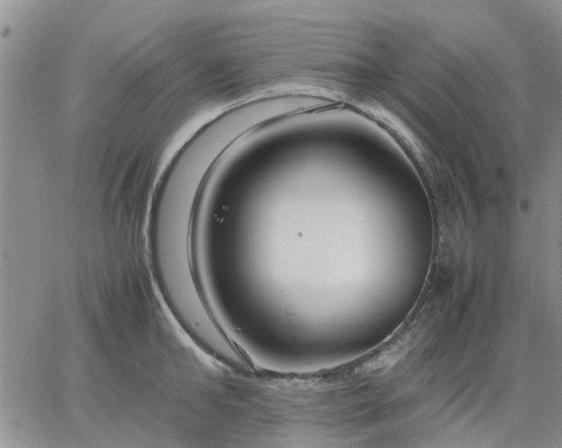 X0000064730902200602171638