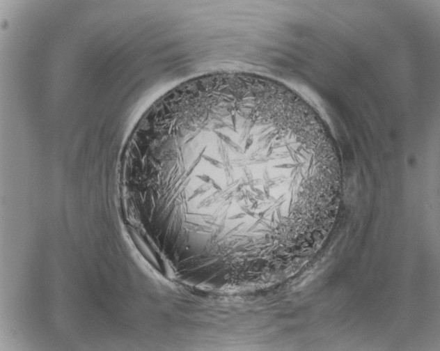 X0000064730903200602171638