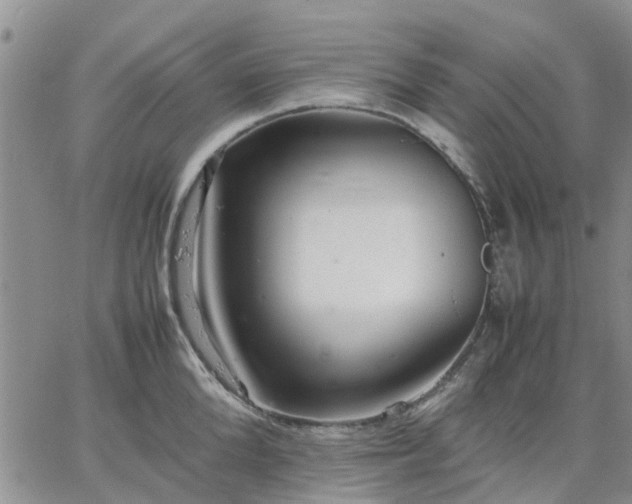 X0000064730904200602171638