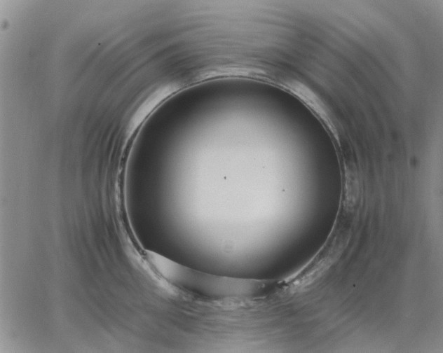 X0000064730906200602171638