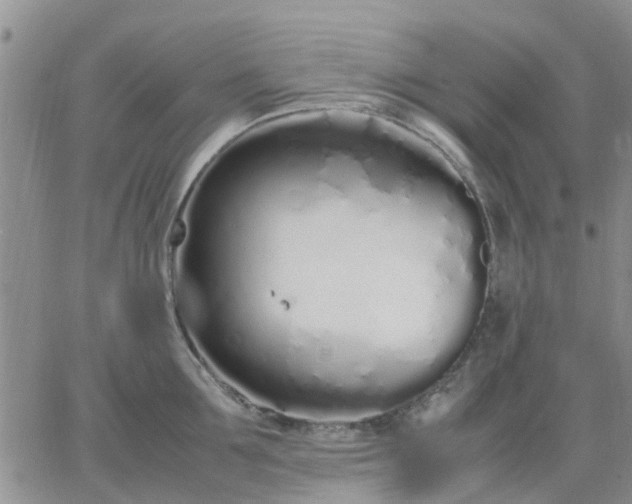 X0000064730907200602171638