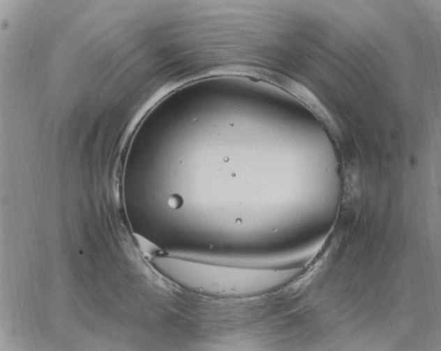 X0000064730908200602171638