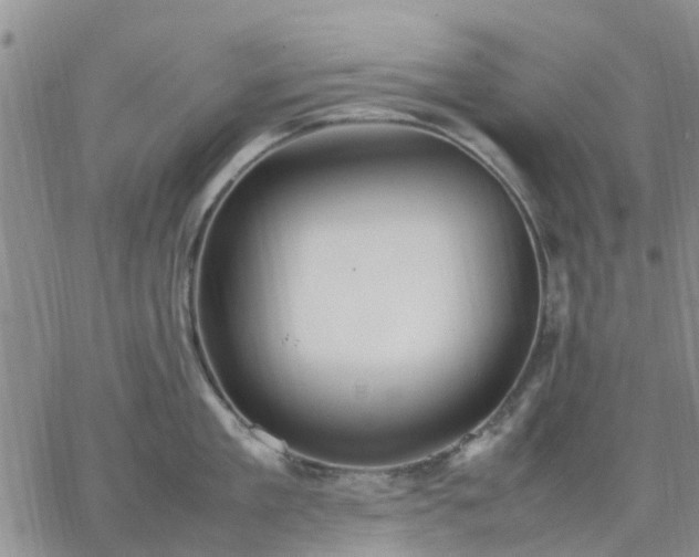 X0000064730909200602171638