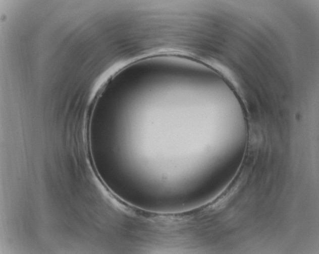 X0000064730910200602171638