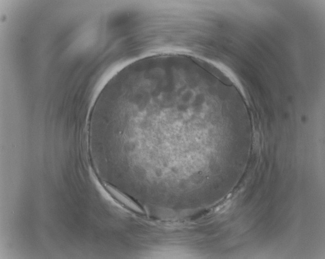 X0000064730911200602171638