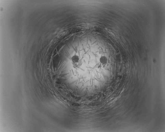 X0000064730913200602171637