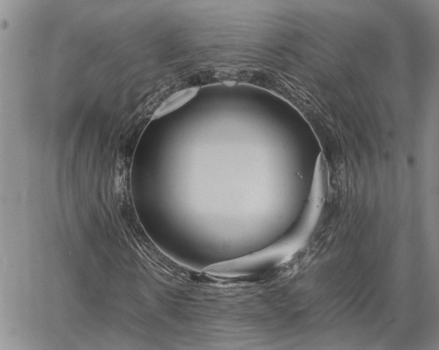 X0000064730914200602171637