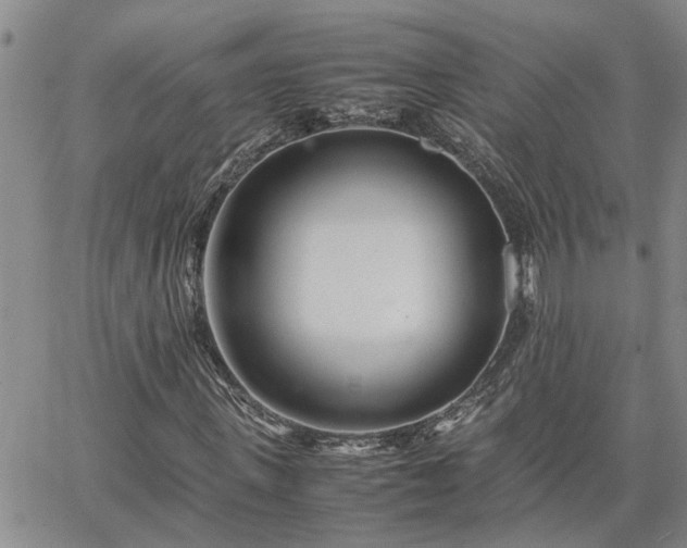 X0000064730915200602171637