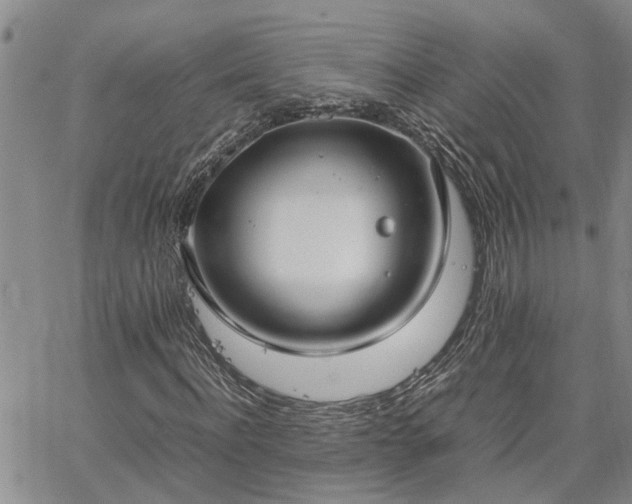 X0000064730916200602171638