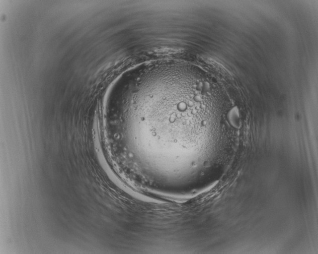 X0000064730917200602171638