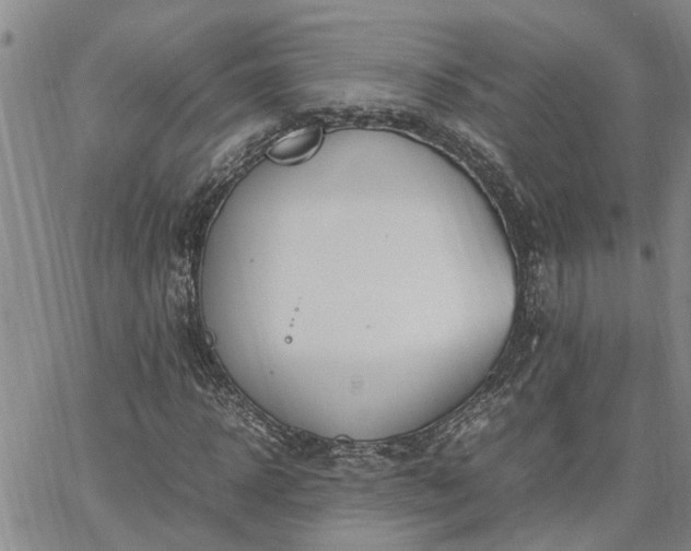 X0000064730918200602171638