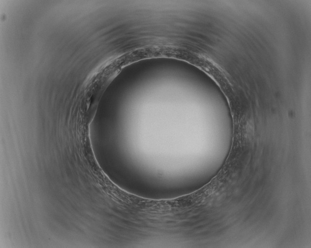 X0000064730919200602171638