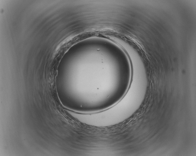 X0000064730920200602171638