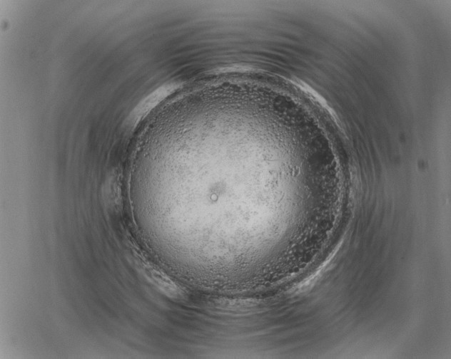 X0000064730921200602171638