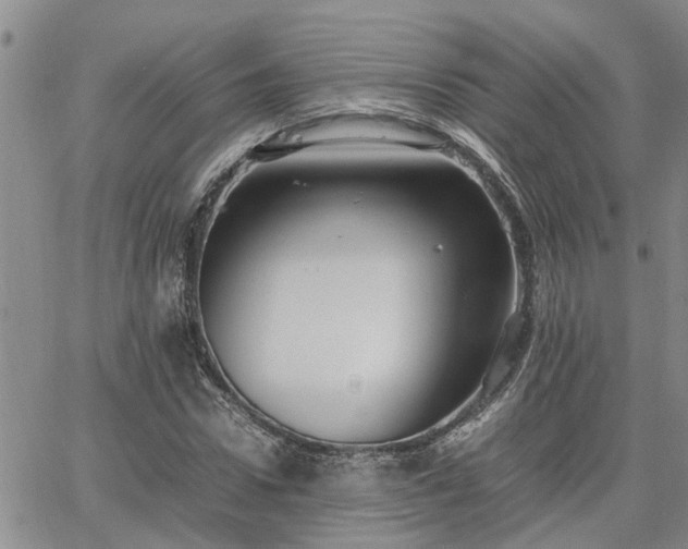 X0000064730922200602171638