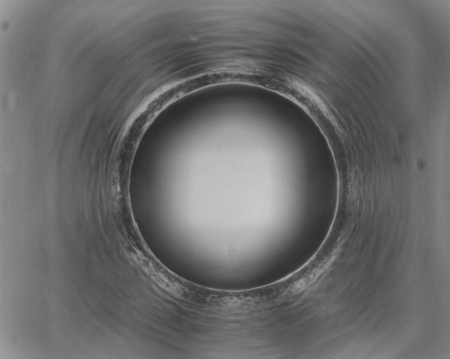 X0000064730923200602171638