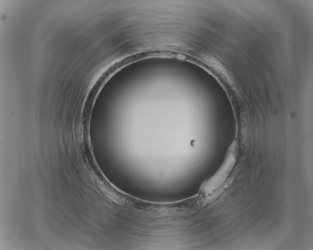 X0000064730924200602171638