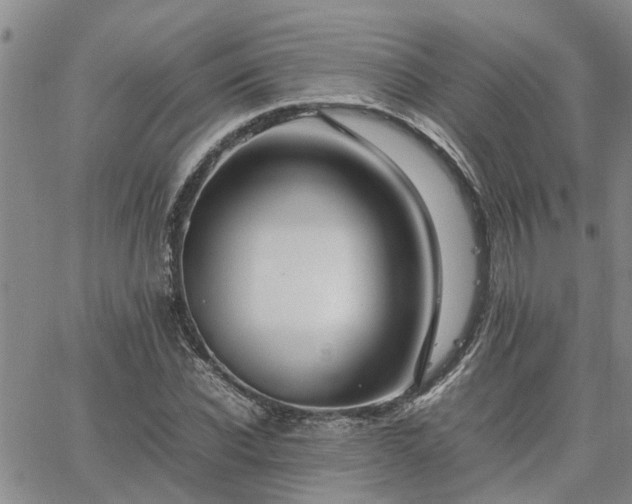 X0000064730926200602171638