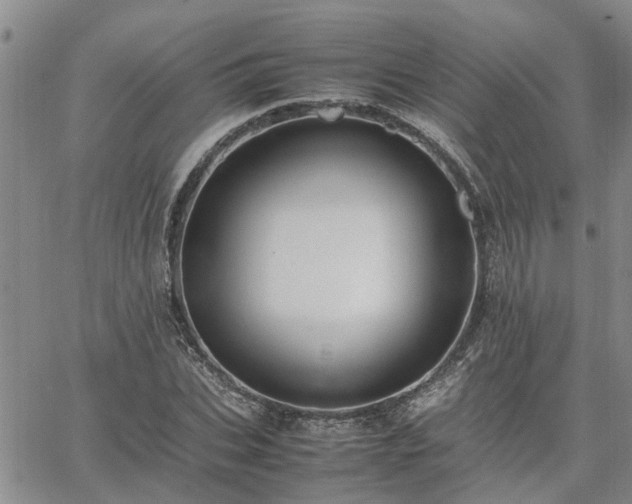 X0000064730927200602171638