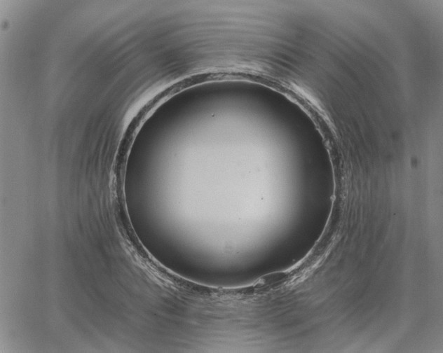 X0000064730928200602171638