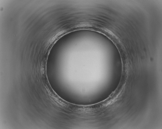 X0000064730929200602171638