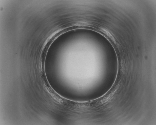 X0000064730931200602171638