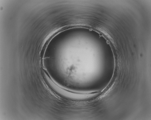 X0000064730933200602171638