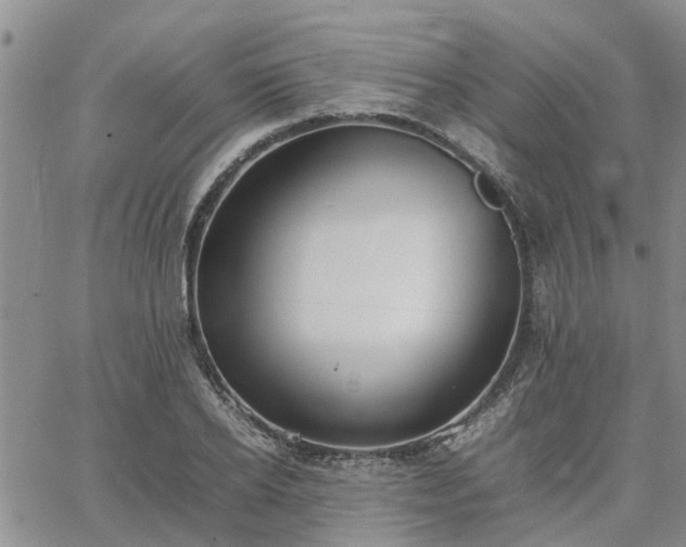 X0000064730934200602171638