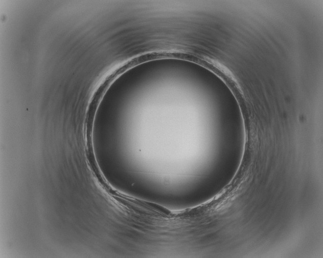 X0000064730935200602171638