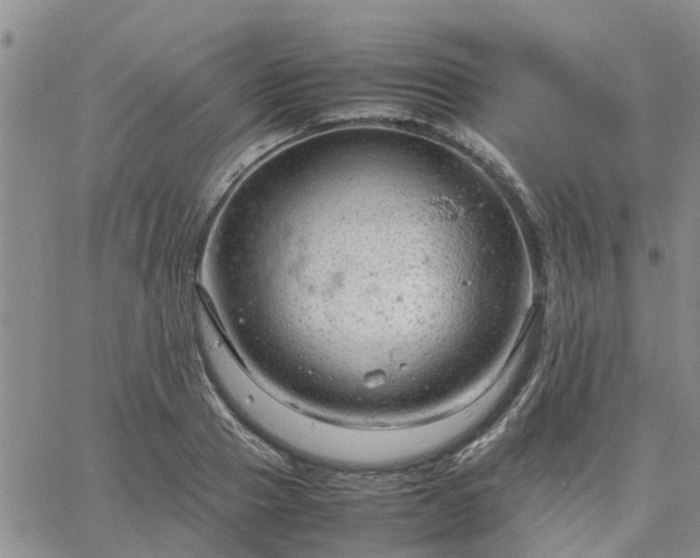 X0000064730937200602171638