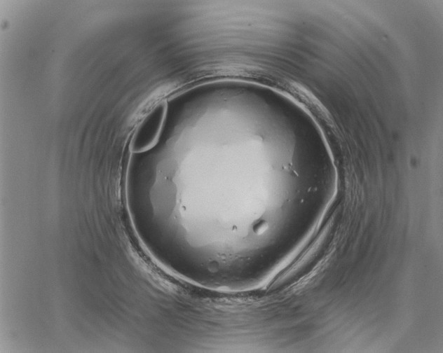 X0000064730938200602171638