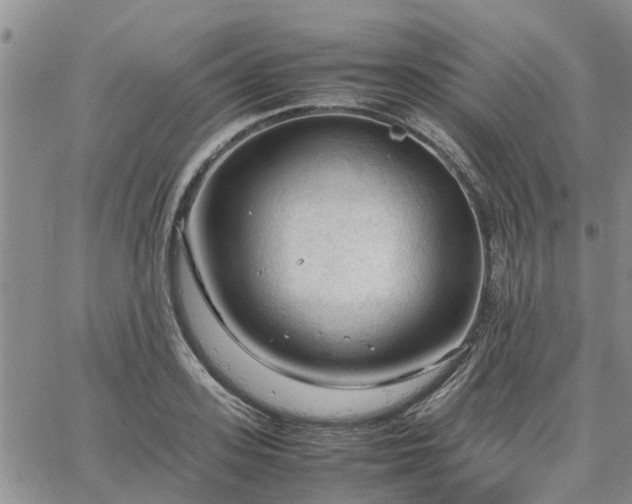 X0000064730939200602171638