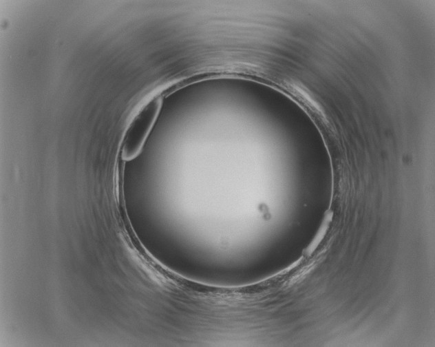 X0000064730940200602171638