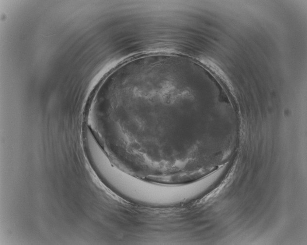 X0000064730941200602171638